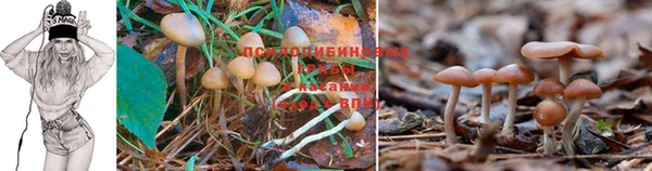 метамфетамин Михайловск